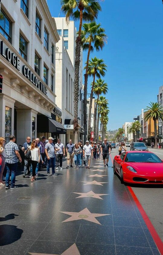 d6165fc712ed3d4ed43a0fbf7b24b630